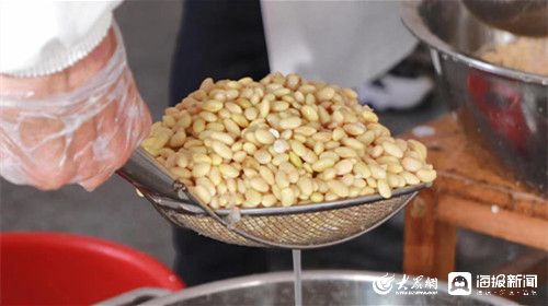 黄河岸边党旗红 古镇东豆产业兴