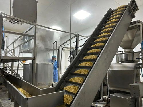 新年新气象，企业生产忙，豆制品销售力争“开门红”