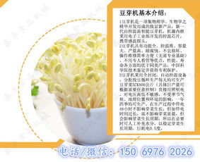 临沂小型家用豆芽机器 鑫丰豆芽机厂家多功能设备助力豆制品销售