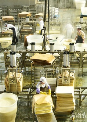 小豆腐成就大产业——豆制品销售的市场机遇与前景